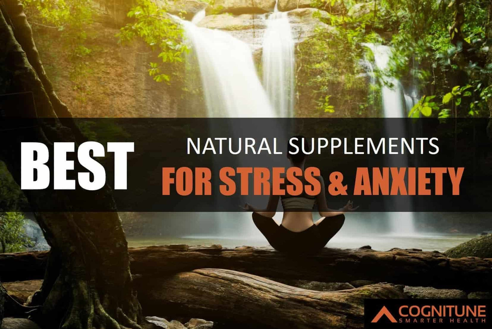 Best Natural Supplements For Reducing Stress And Anxiety Cognitune 6032