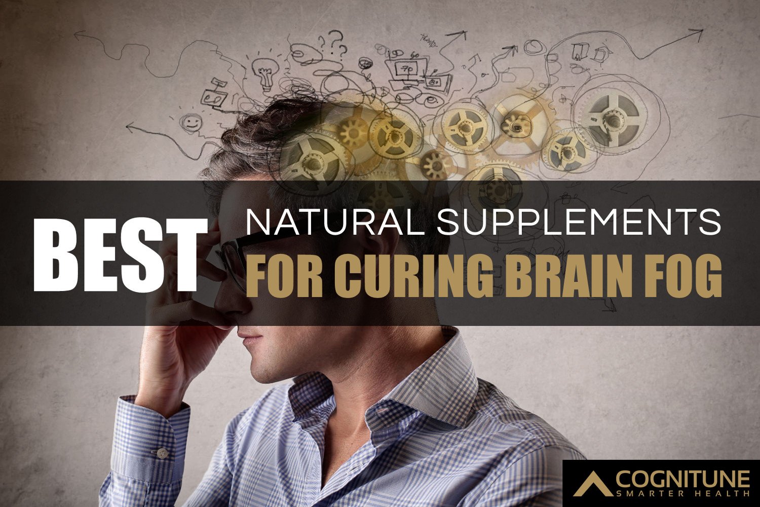 10 Best Natural Supplements For Curing Brain Fog Mental Fatigue